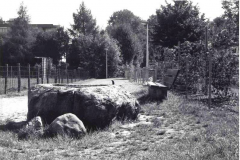 Brunnen_beim_Kindergarten_Lindenhof_preview.jpg
