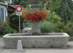 Brunnen_beim_Steinhof_2004_preview.jpg